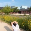 커버낫강릉점 | 레스포삭 미니 백팩 후기 (프라다 나일론 대체품 히히)