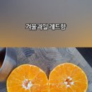 이마트24재송센트레빌점 네이버블로그