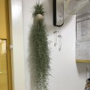 새동그라미어린이집 이미지