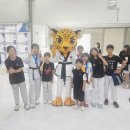 정인태권도장 이미지