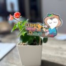 수선화미용실 - 창원시 의창구 | 수선화미용실