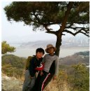 봄 소풍＜2011년 4월 8일＞ 이미지