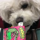 반자주 엘시티점 이미지