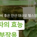 써밋복싱 이미지