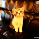 협진농장 이미지