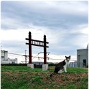 청계천문화관 | 친구와 주말 동네마실-청계천박물관, 선농단