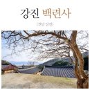 “찬란한 슬픔의 봄”: 모란을 노래한 시인 김영랑
