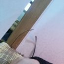 전곡한의원 이미지