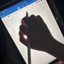 시현민박 | 비비안예뻐하면싸패지그게사람인가