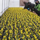 서울장식 이미지