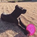 칸 트레이닝 센터 이미지