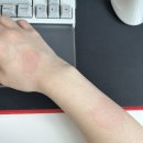 텐PC방(식사점) | 뜨거운 9월은 가고 남은건 볼품없지만