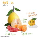 과일이야기 - 강진군 시장길 19 | 과일이야기