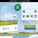 제주 보헤미안 이미지