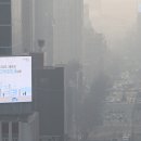 플래니터리헬스 이미지