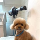 홍글몽글 이미지