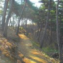 가야대학교(고령) 이미지