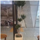하남해장국