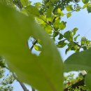 무거로와 이미지