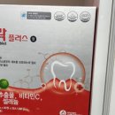 엠비엘약국 | 프로락정과 프로락플러스정 가격 섭취 및 구매방법