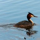 광혜원산단2길 이미지