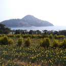 공곶이 언덕 이미지