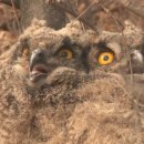 종원농장 이미지