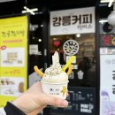 금성로 | 강릉 월화거리 먹거리 강릉샌드 만동제과 감자아이스크림 중화짬뽕빵