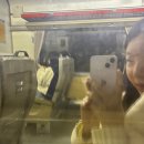 무궁화양과점 | 예산 : 뚜벅이로 떠나는 당일치기 기차 여행 (온천 워터파크 | 예산시장)