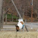 소노펠리체 Par3 이미지