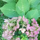 (주)태운관광 이미지