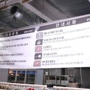 식도락&생방송