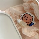 센트럽잇 이미지