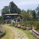 은빌레식당 이미지