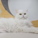 반짝반짝 - 고양시 일산동구 일산로463번길 51-2 | 반짝반짝