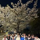 한국체대 용무태권도장 이미지