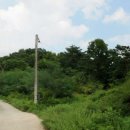 여주-0272 Daum카페
