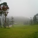 STC 에덴