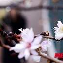 진해구 ⓒ-42 이미지