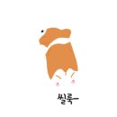 개드레날린휴개소 이미지