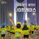 영광대교화장실 | 광안리 나이트레이스 인 부산 2025 광안대교 나이트런 코스 시간 티켓예매 완주 후기