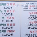 심마니산약초산삼백숙 이미지