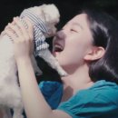 수제산업동물병원 이미지