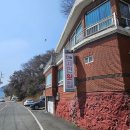 산지로 | 진동 미더덕 맛집 고현횟집 산지에서 먹는 미더덕회 덮밥 후기