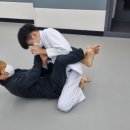 안성주짓수
