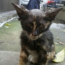 이플동물병원 이미지