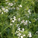 하은농원 이미지