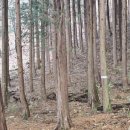 황토편백하우스 이미지