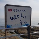 바다야또놀자 이미지