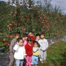 신남어린이집 이미지